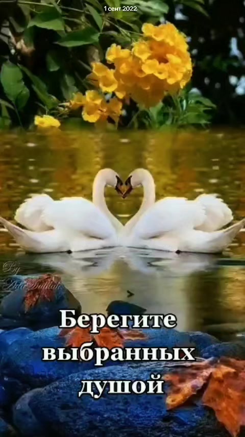 @💫Даниса💫
