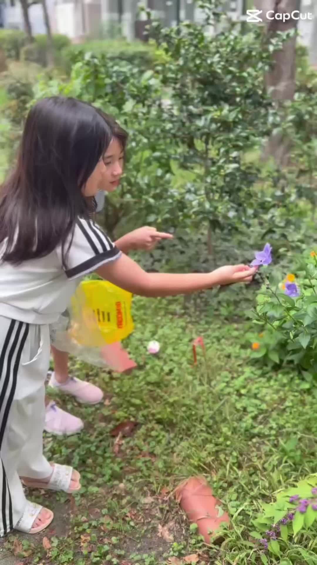 @聖子