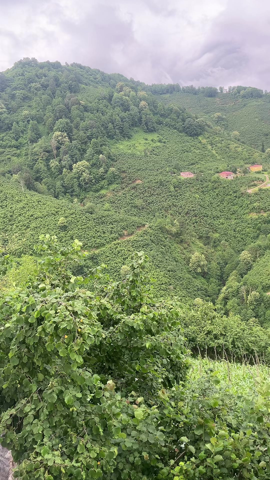@Ersin kesik