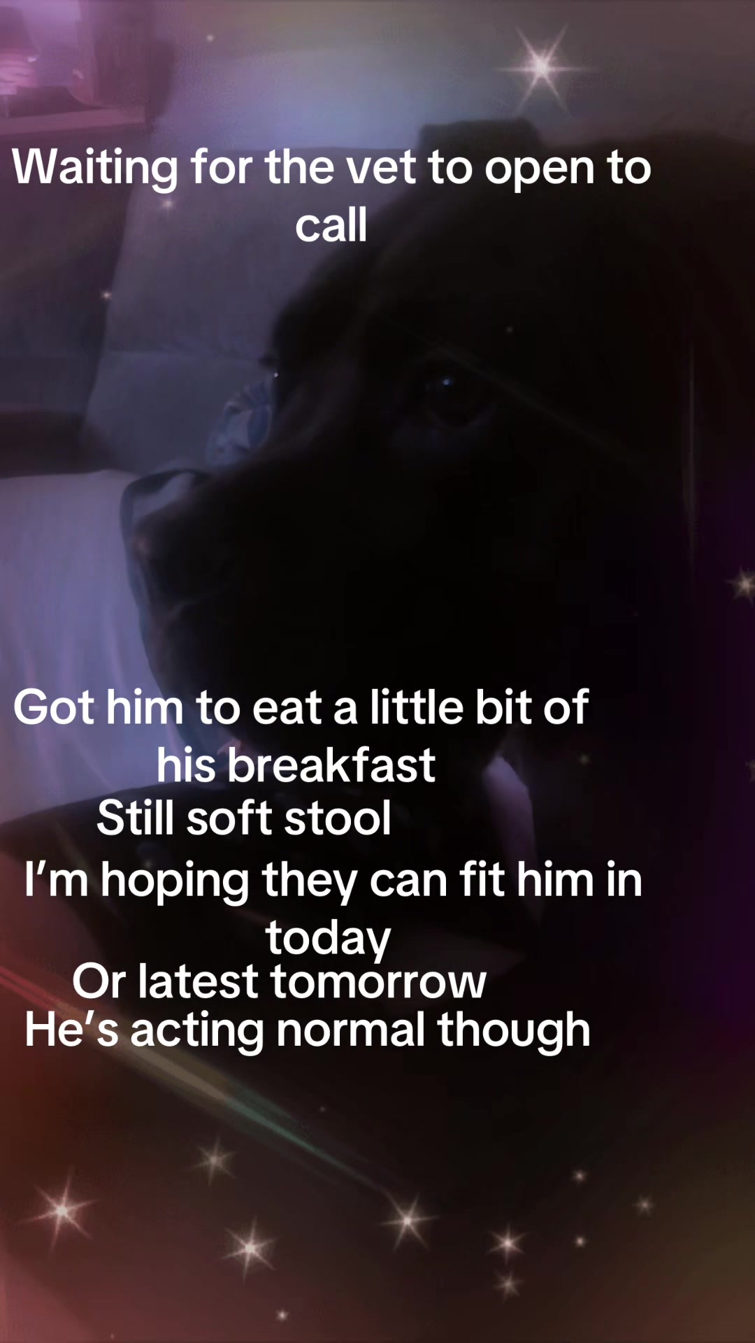@👻🌙R617BD✨💫☠️🕸️❤️🩹