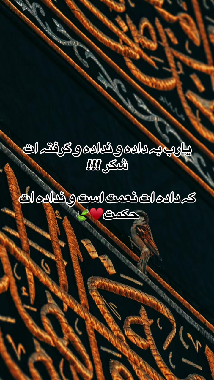 @𓆩•.M4sror07.•𓆪