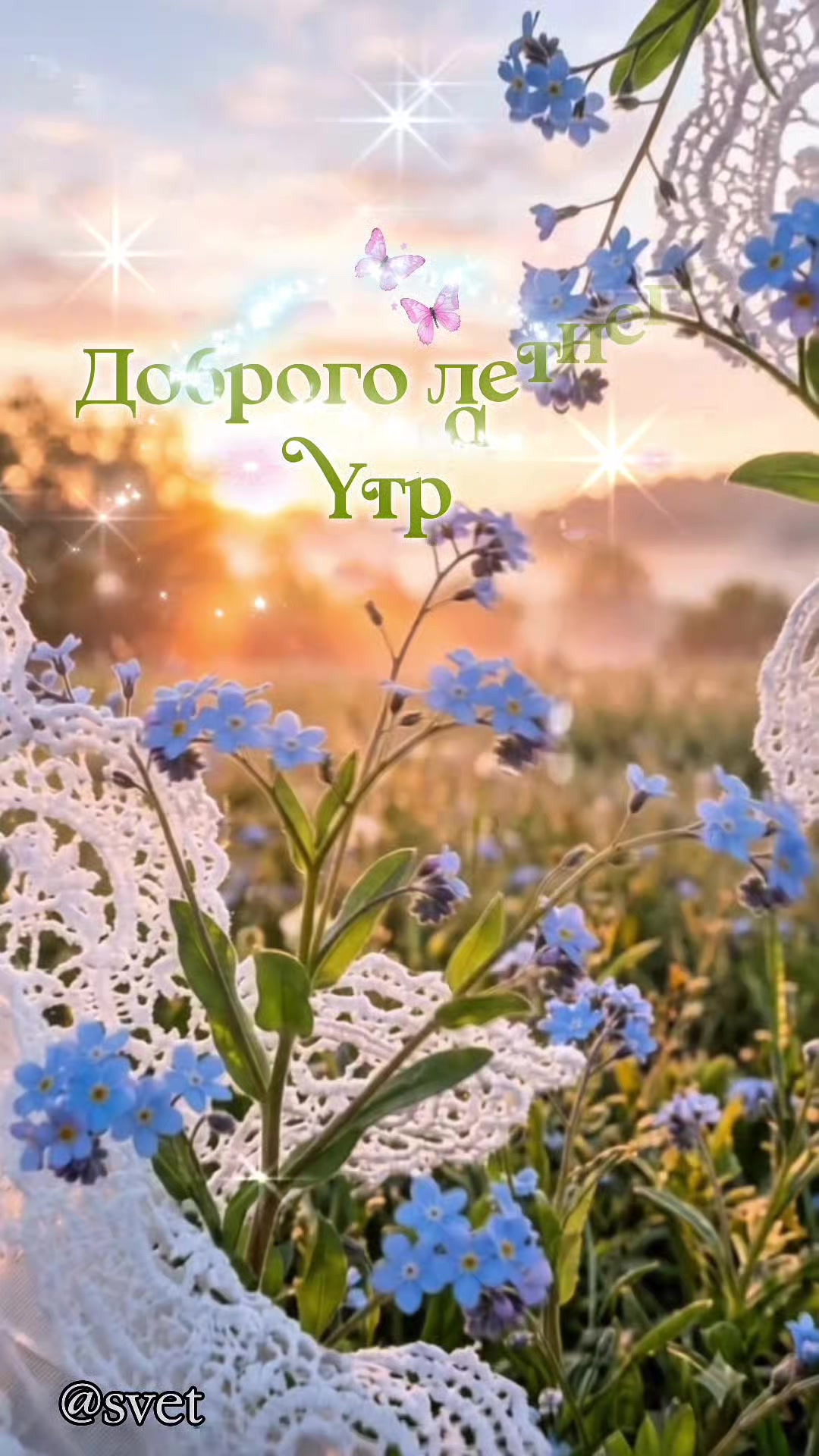 @svet
