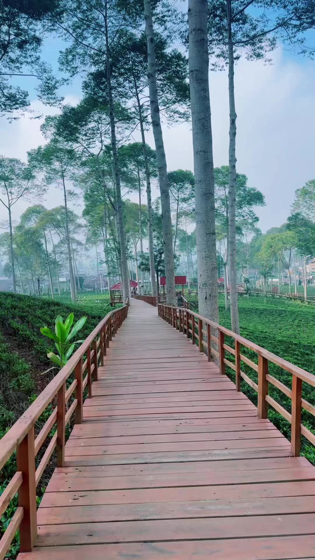 @BERKAHKURMABINTARO