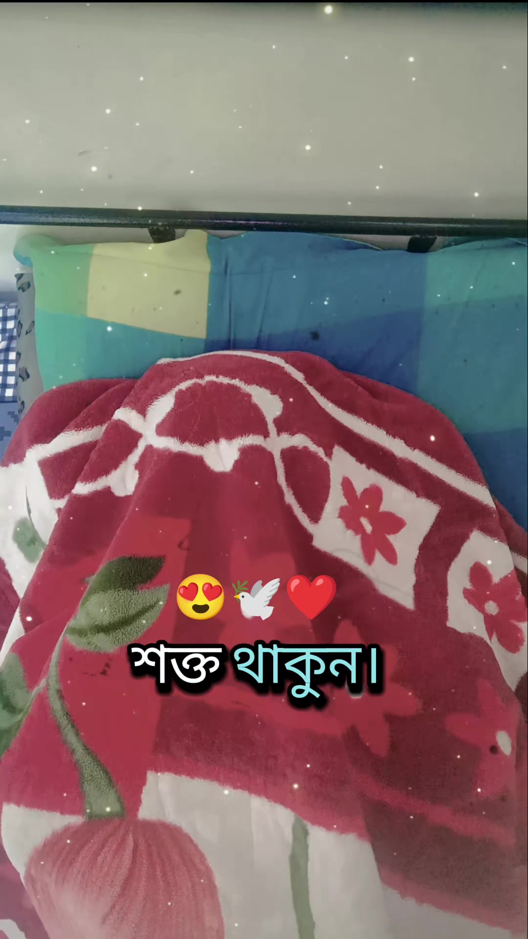 @marajmia337