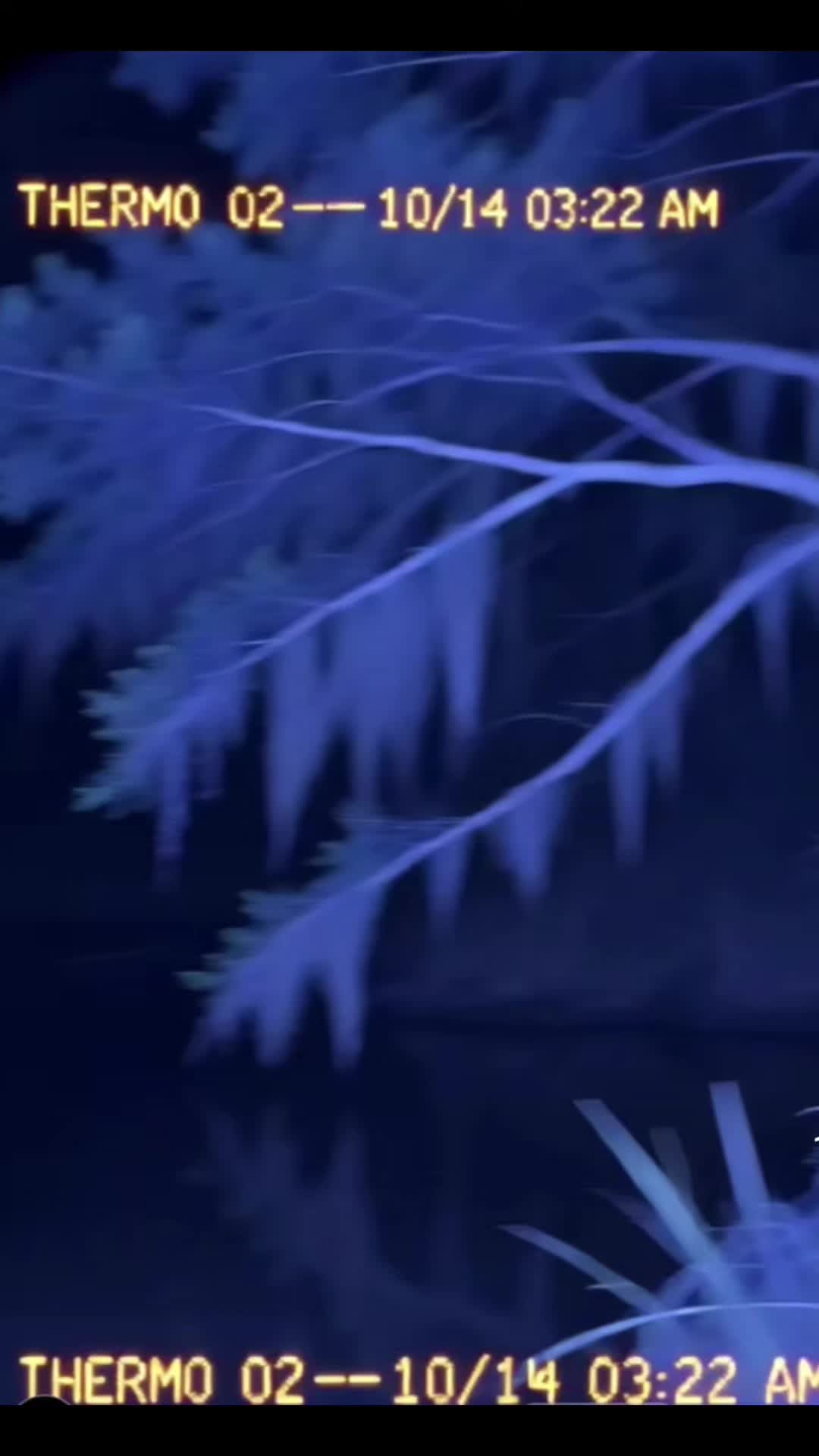 @wayneljenkins72000