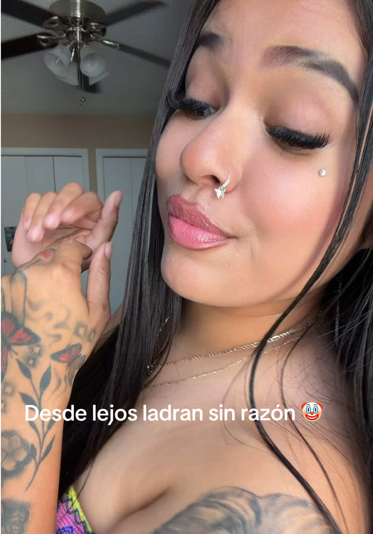 @Katerin🇬🇹🐆