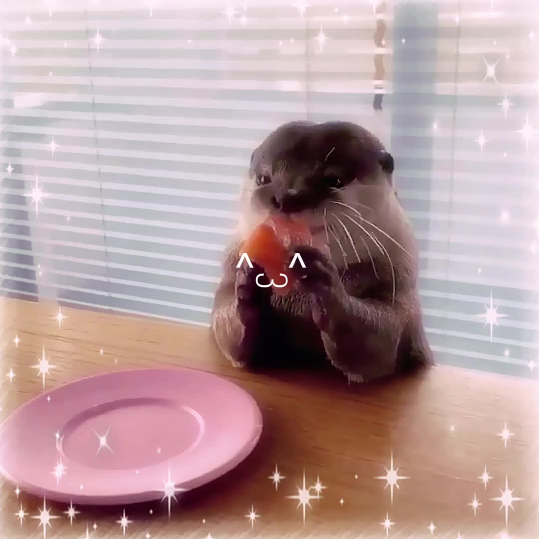 @tyusha ♡ 🍩