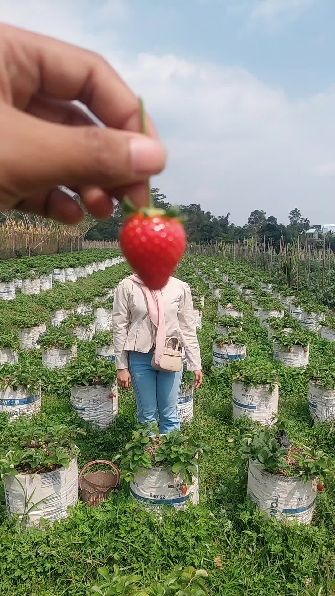 @nvtasciyty_010221