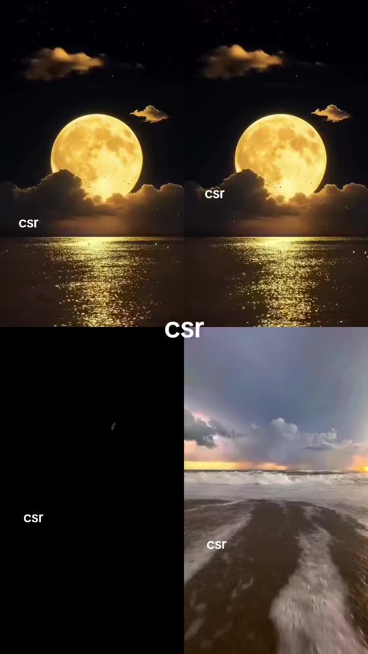 @56cleansr