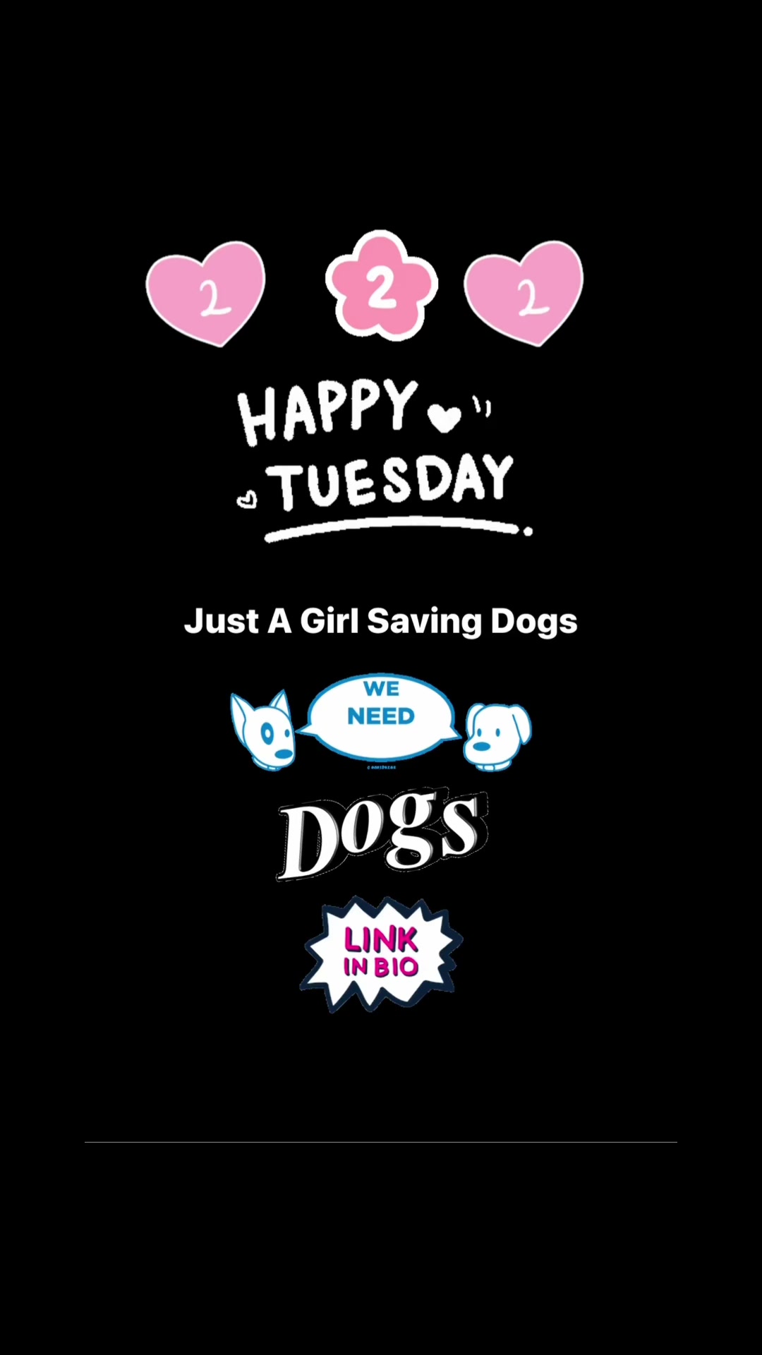 @Just A Girl Saving Dogs