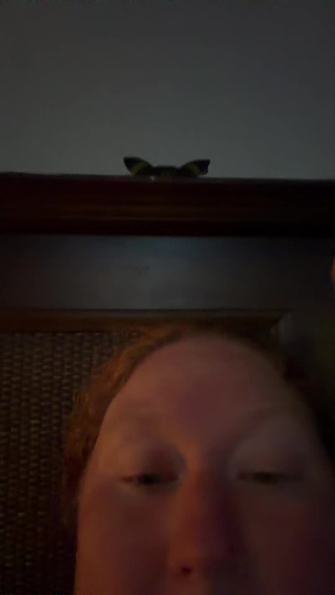 @thewhimsypeach_