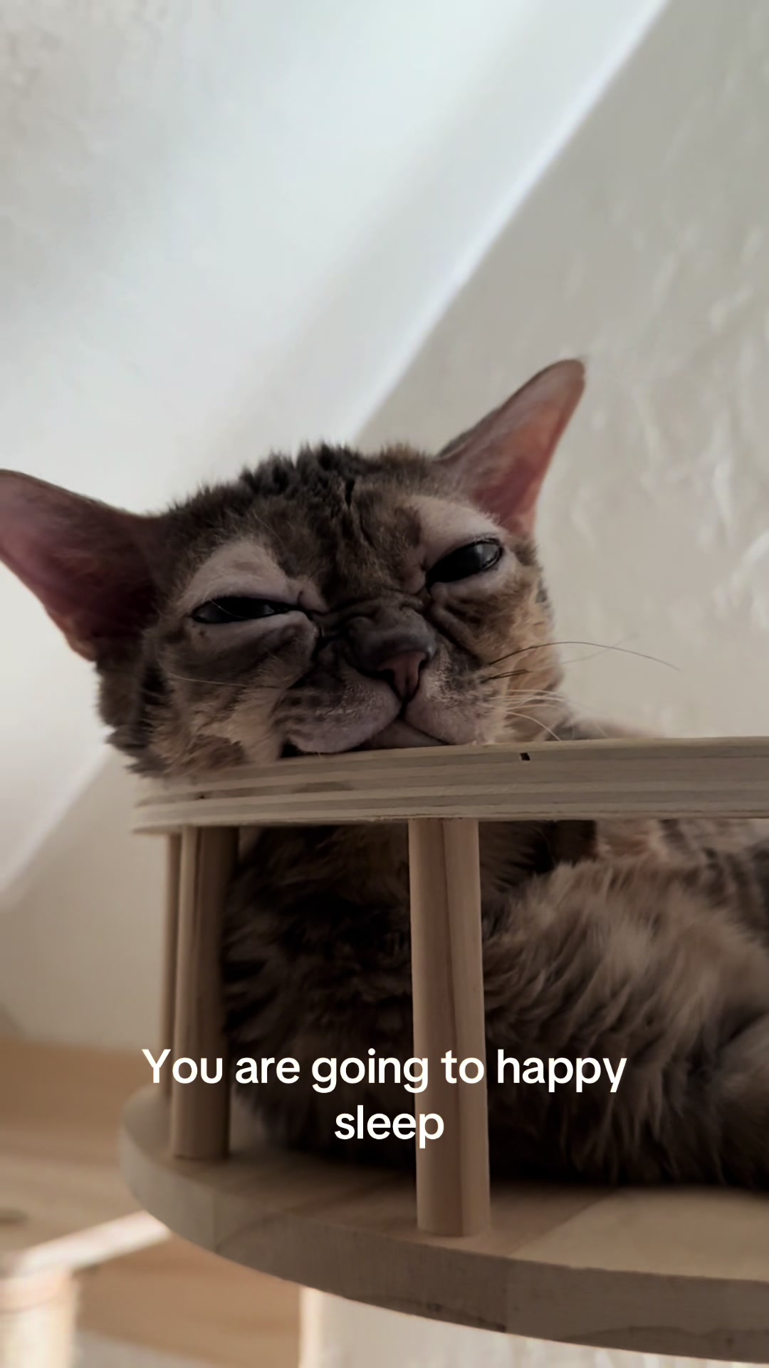 @Gumbus