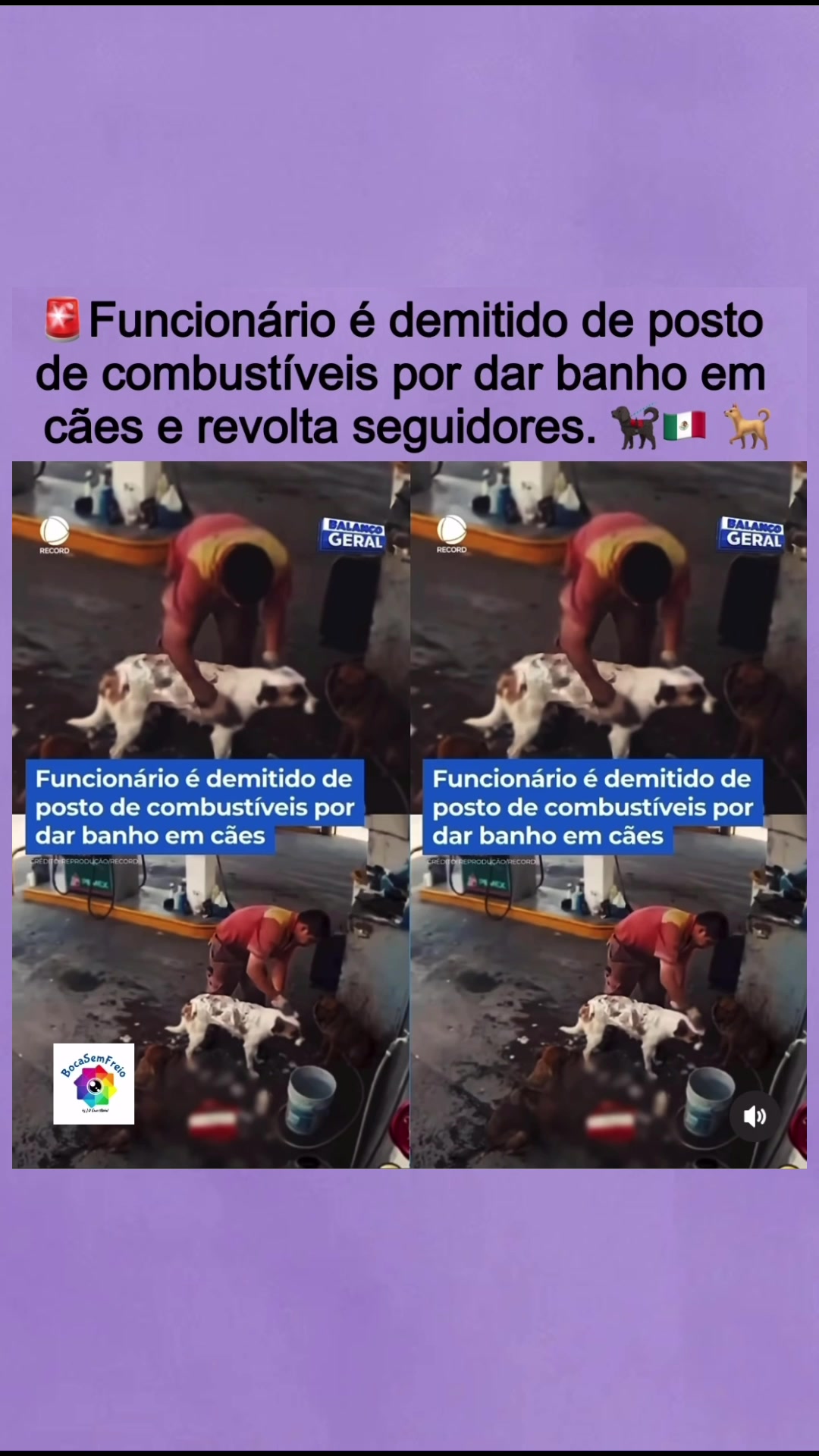 @@bocasemfreio