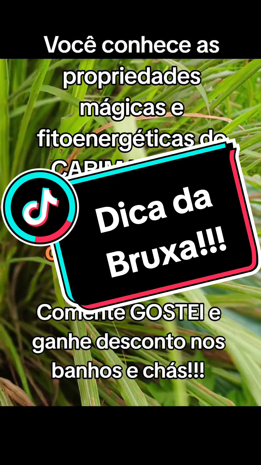 @CoisasdeBruxa479 7 0 1 3 1 6 2