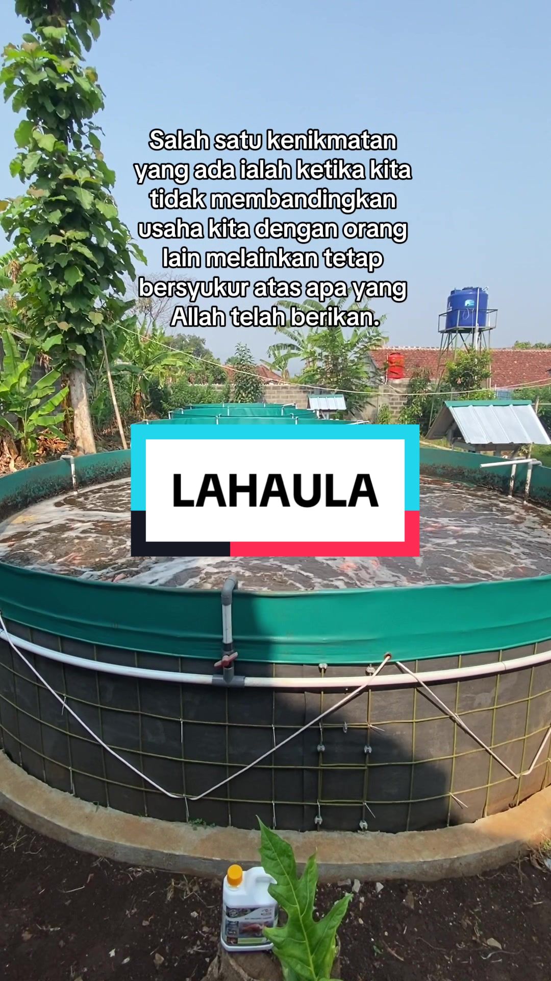 @Berkah Jaya Fish Farm