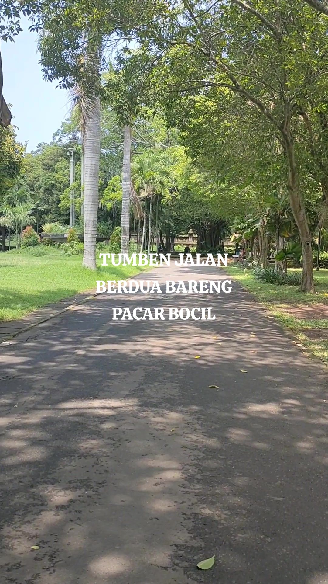 @Alina Yunita