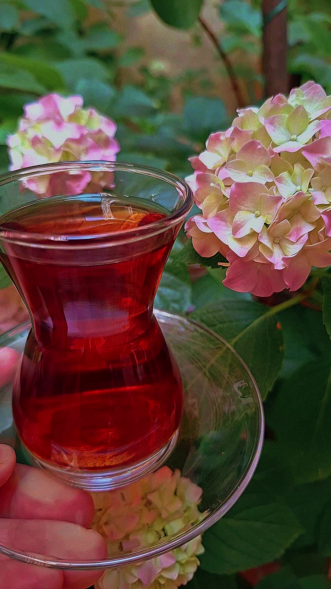 @Gül