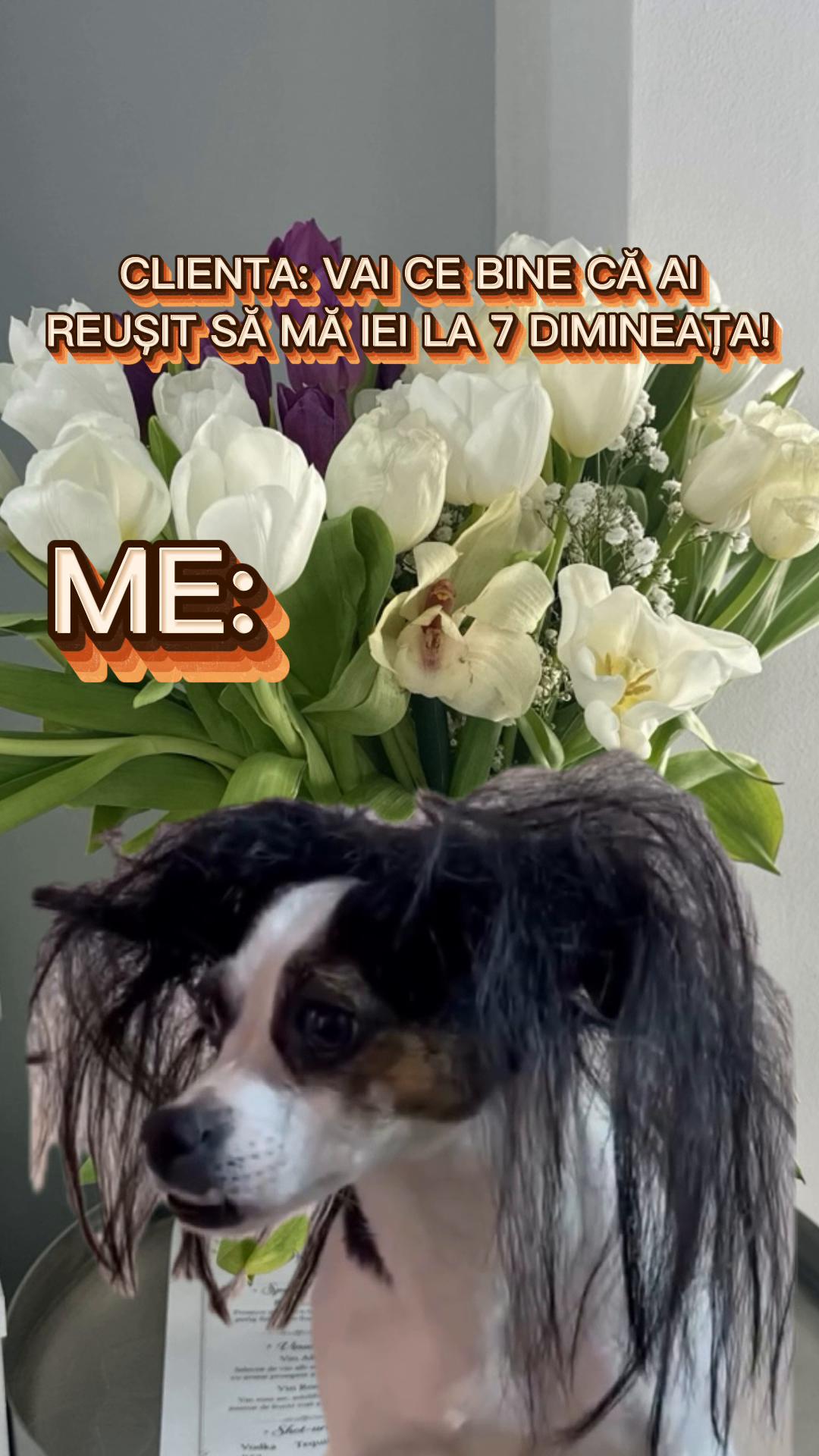 @Aura Mureșan