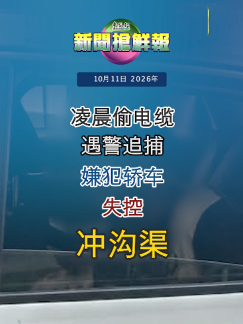 @中国报