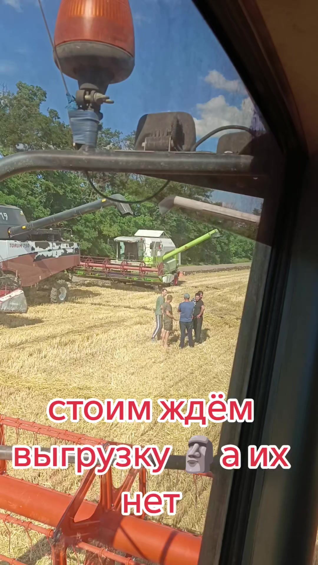 @Алёна