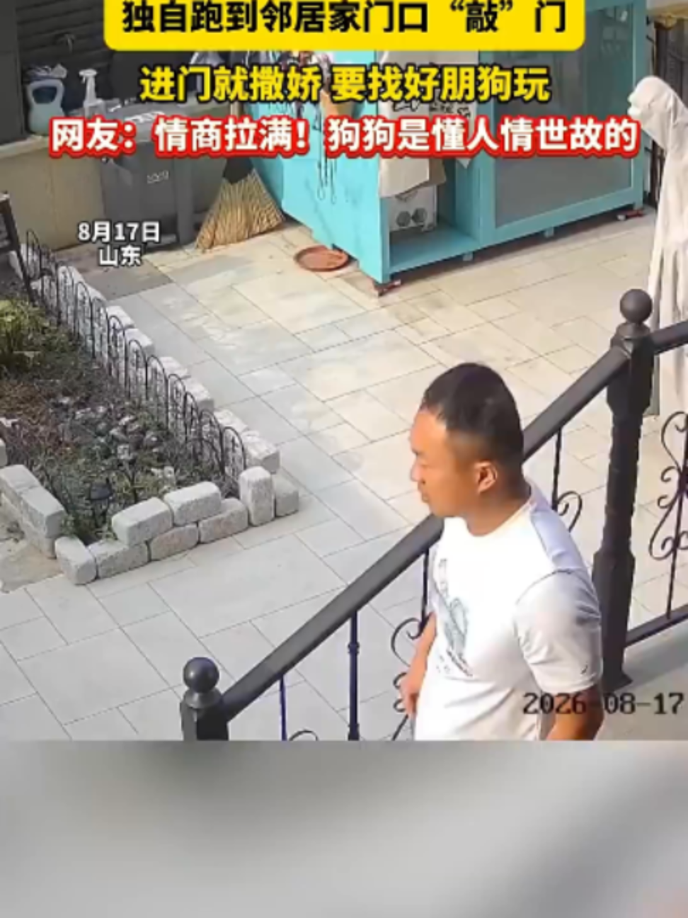@中国蓝国际