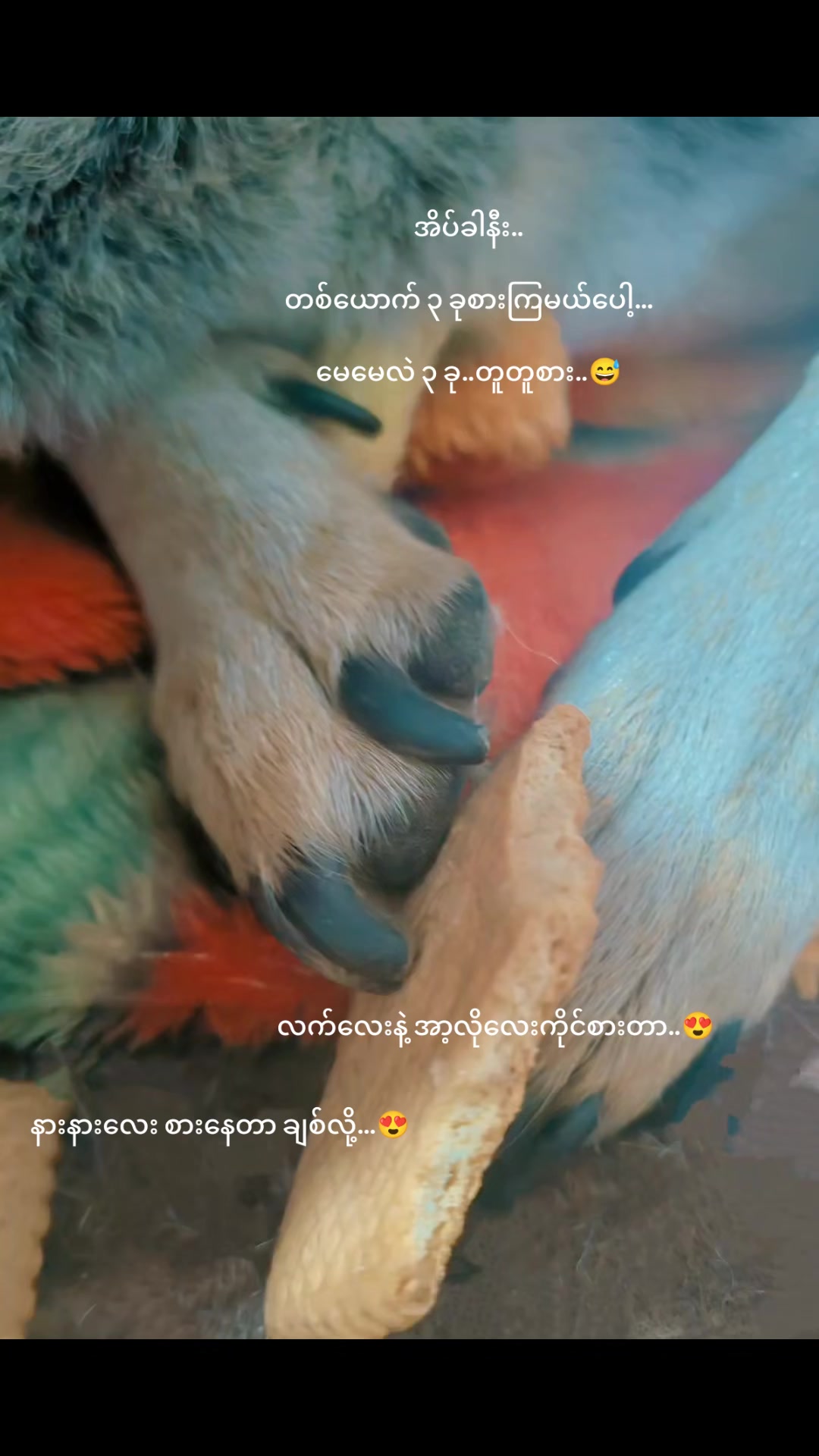 @Thida Htun