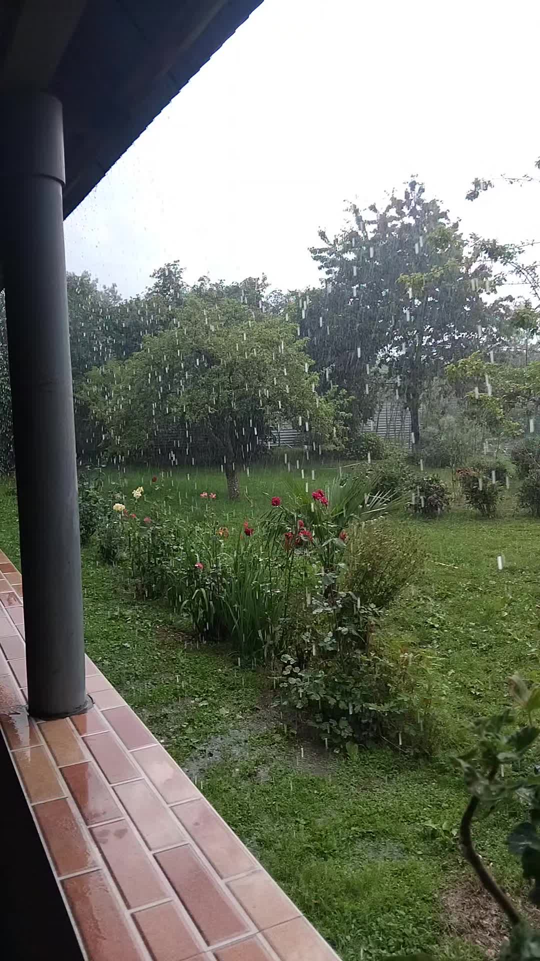 @Бахруз Насиров