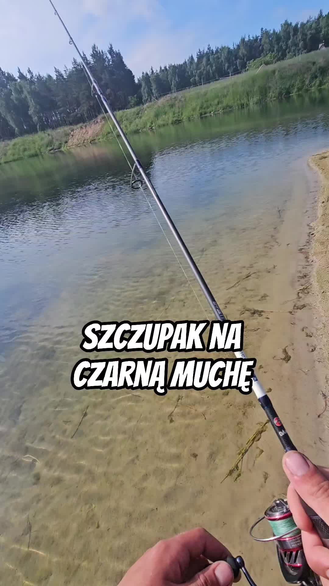@mfly_lures