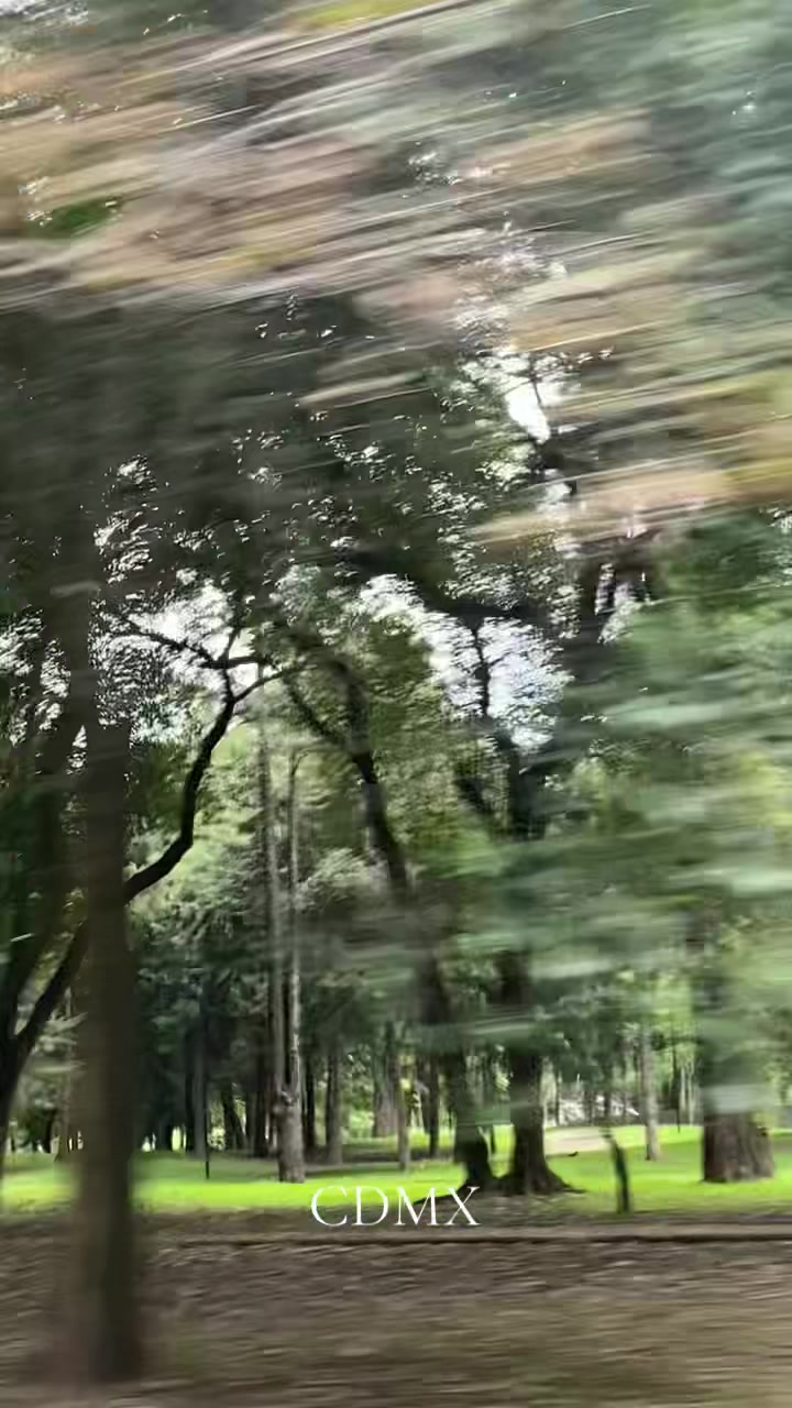 @Lu salm&oacute;n