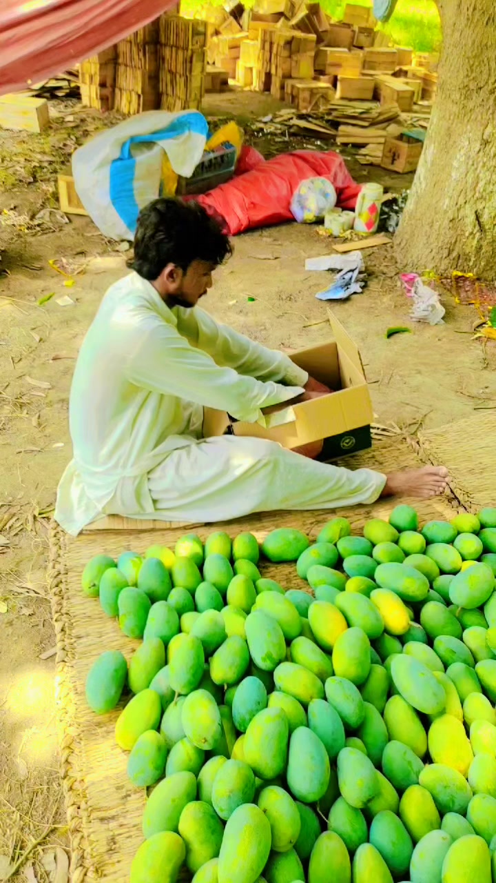 @Liaqat sahu