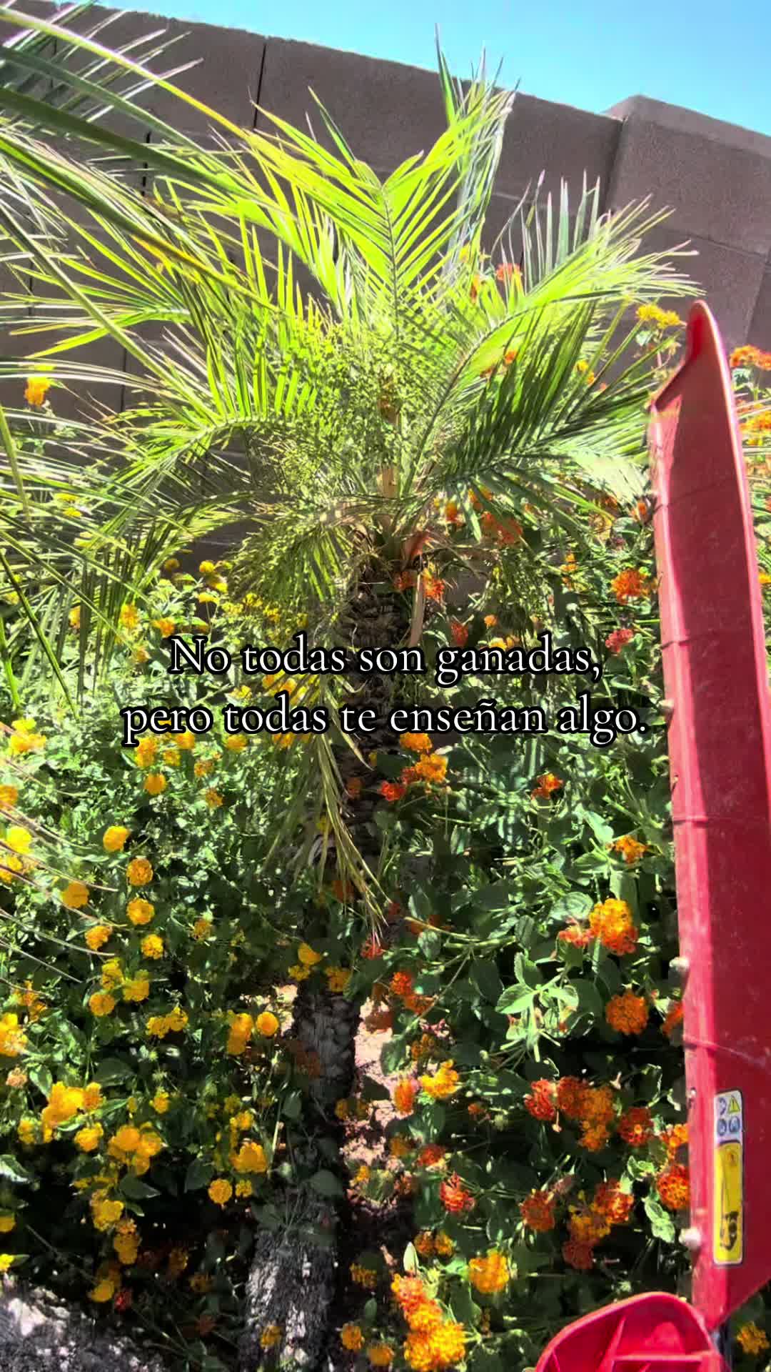 @landscaping