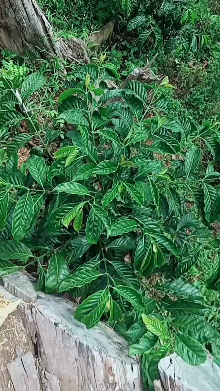 @Bul Akhirul. M