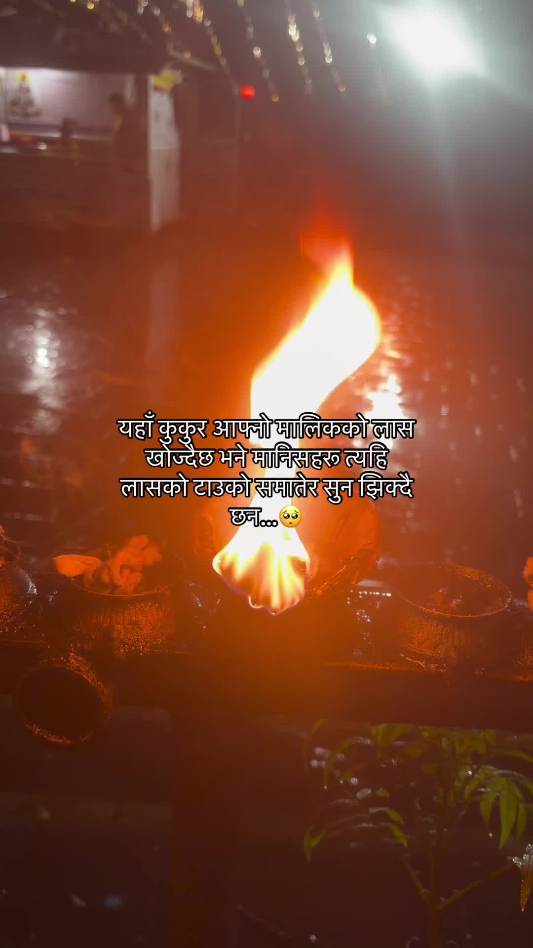 @🍃