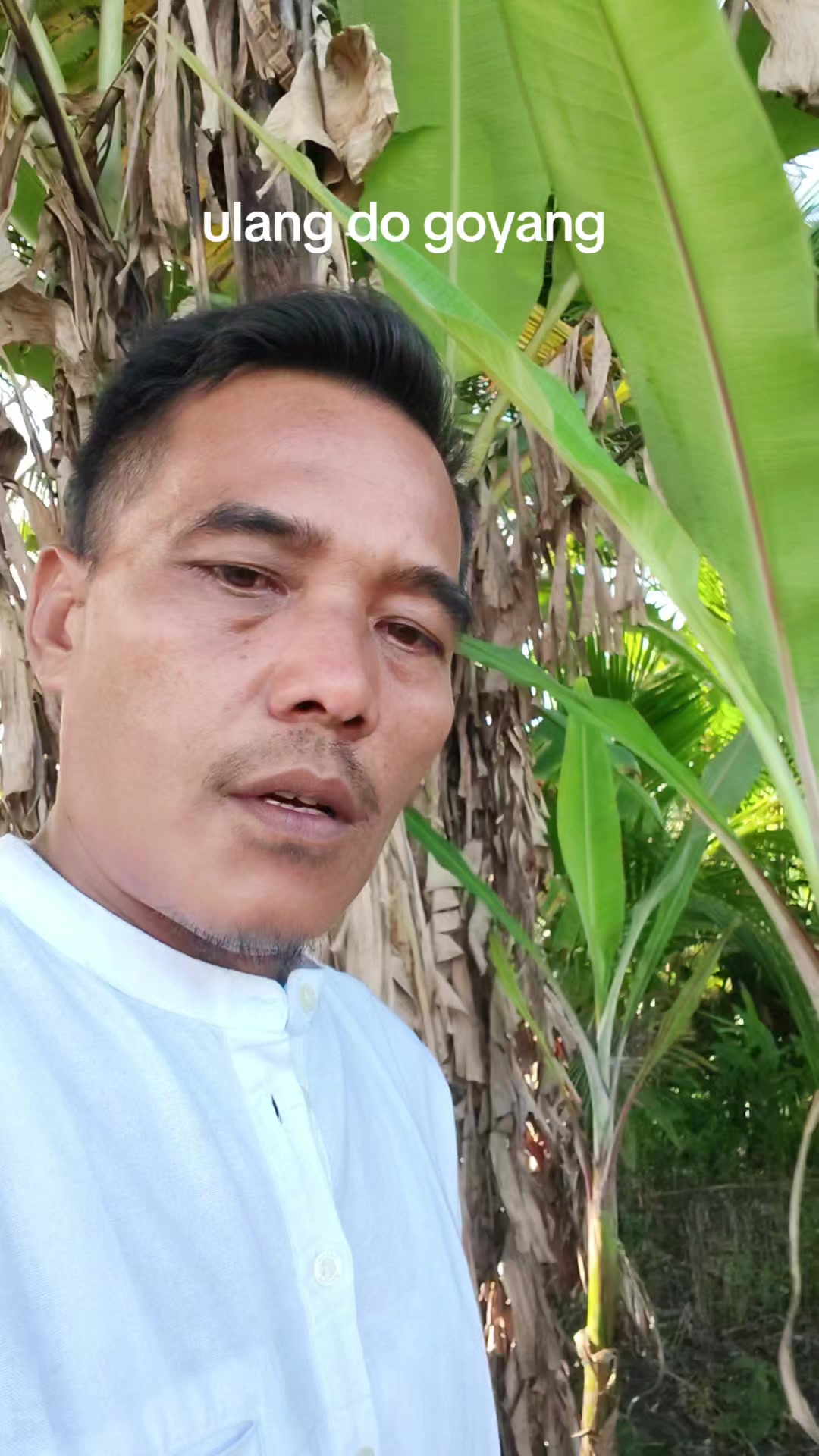 @petani kecil ujung tapsel