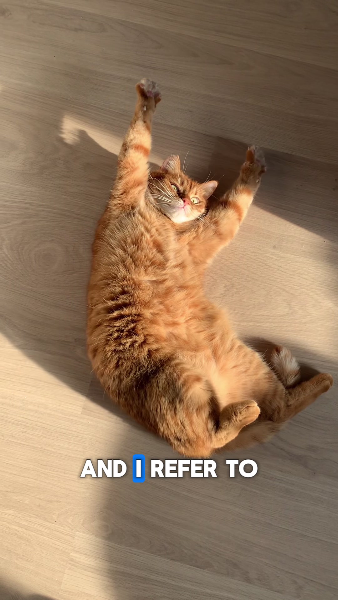 @Jackson Galaxy