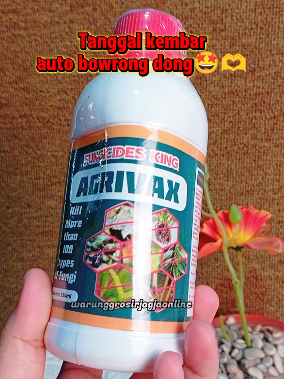 @warung grosir jogja online