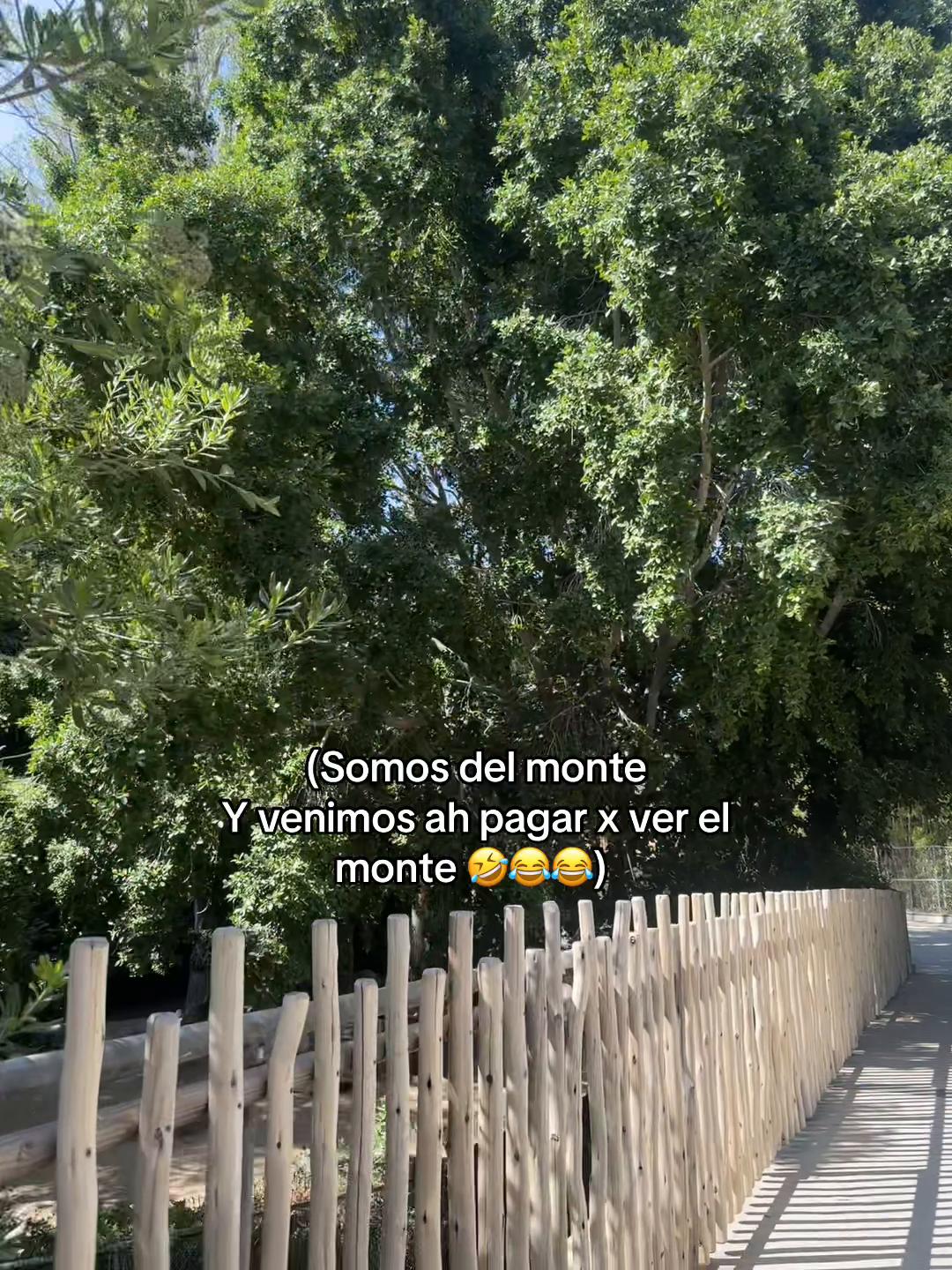 @Mari🕷️