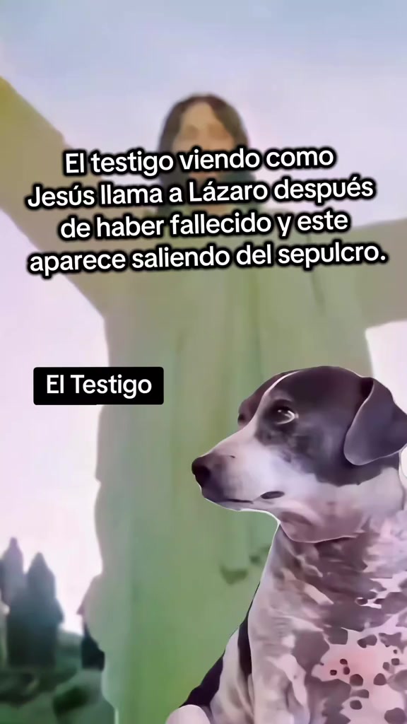 @sandraarteaga❤️&zwj;🩹