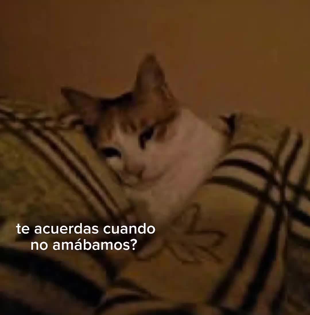 @Yef