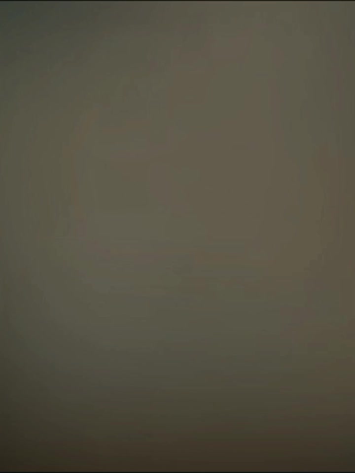 @cash and Nico_edit_menber