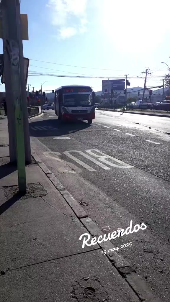 @busologia_wasabi