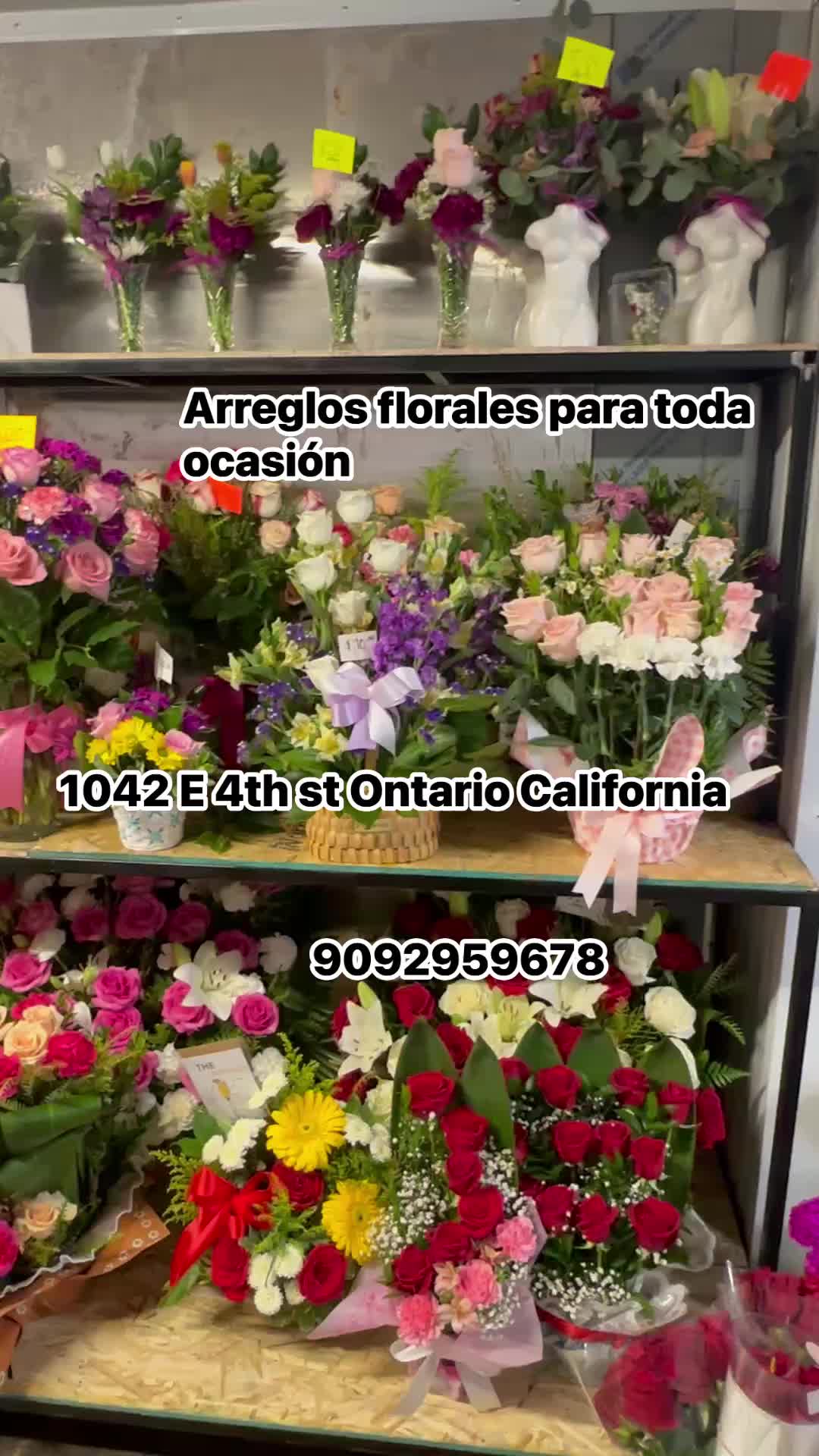 @roses land corp
