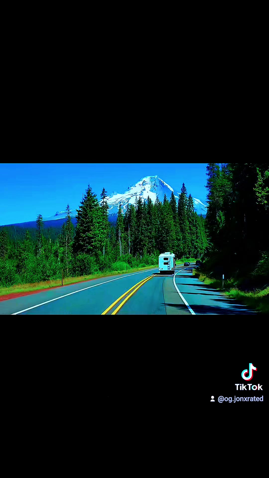 @BigTree 🌲