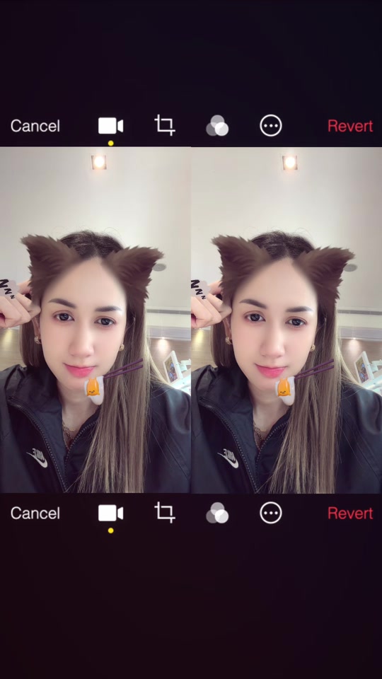 @ᴹˢAlexa❣️