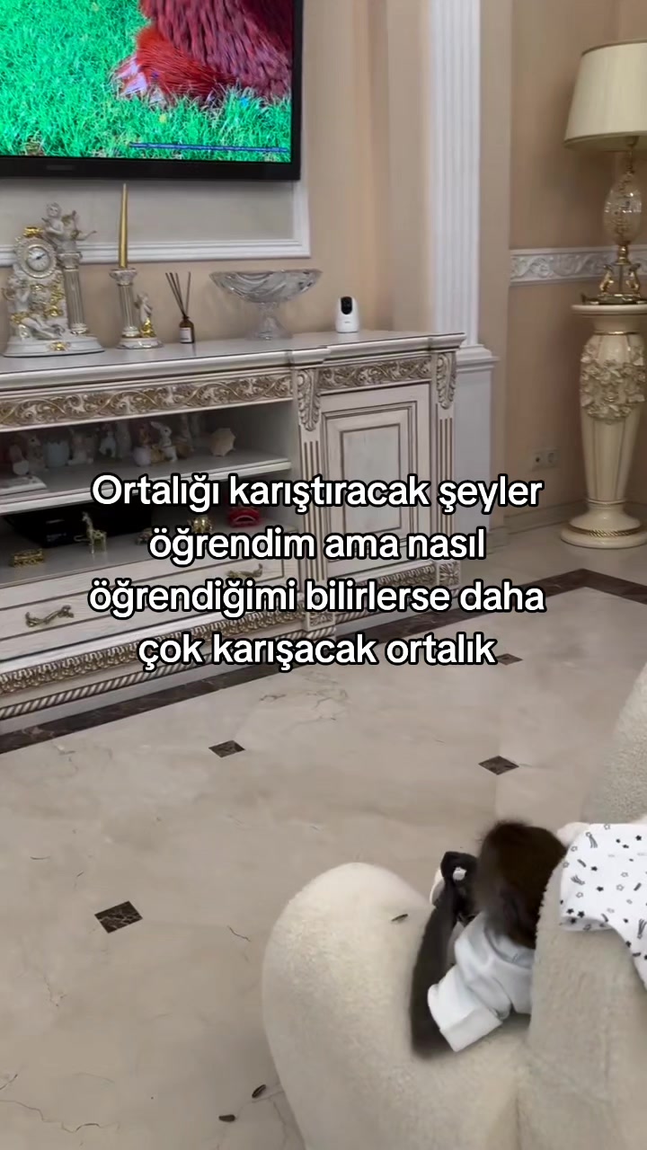 @rolland