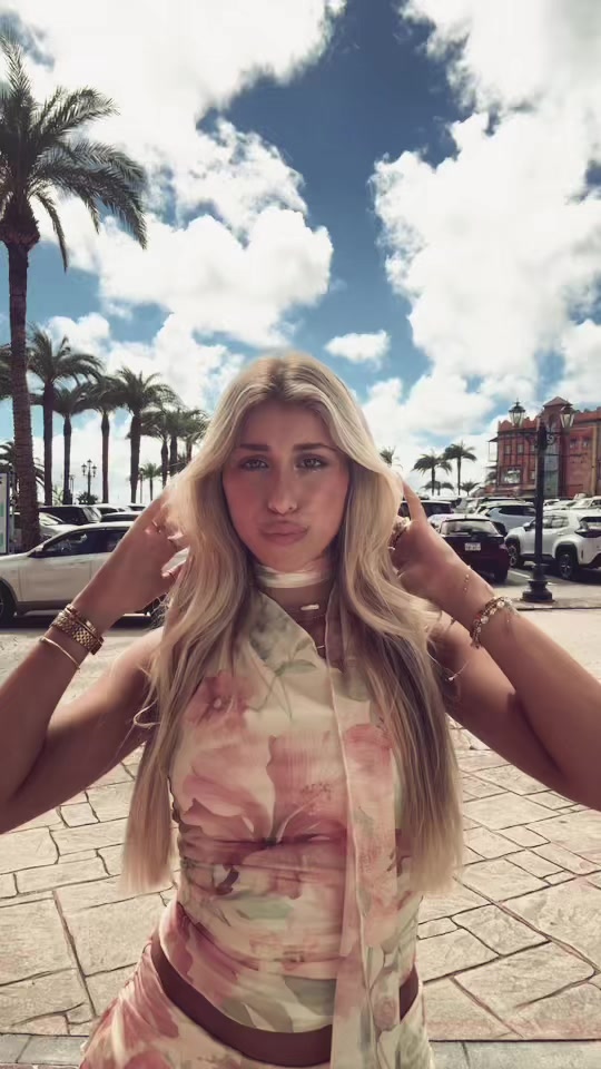 @lironlavi13