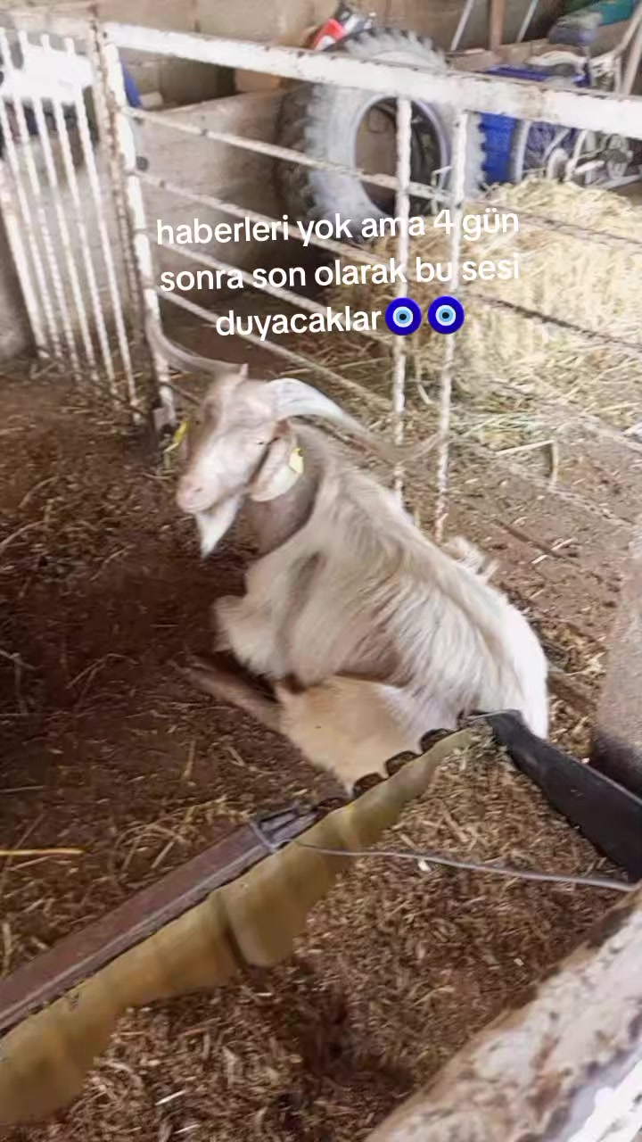 @karaman09