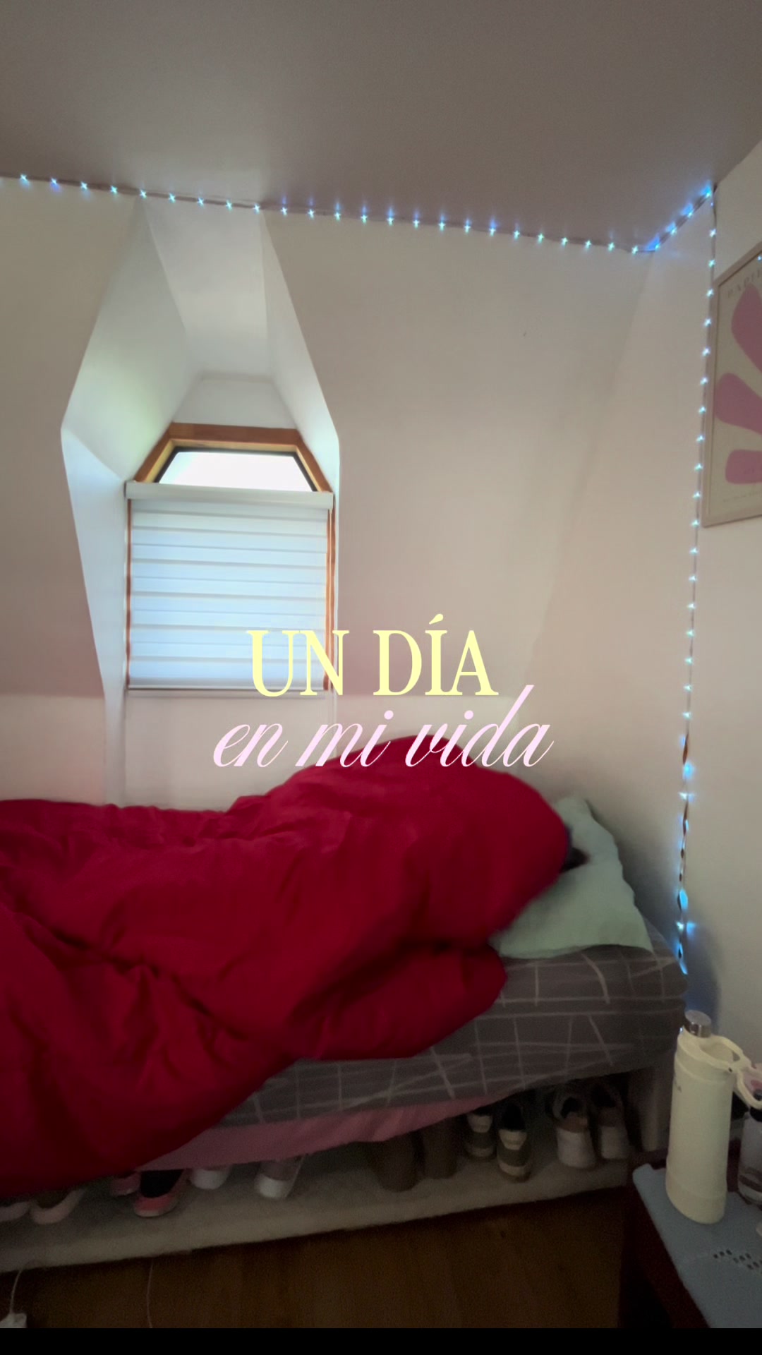@Marcela Varas Clavijo