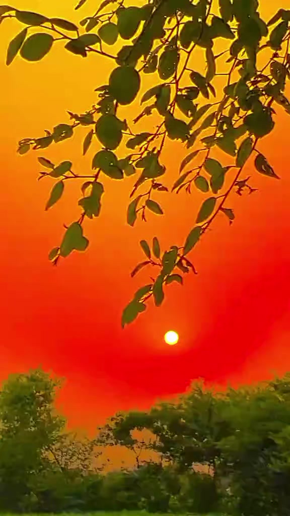 @Akhtar khokhar 333