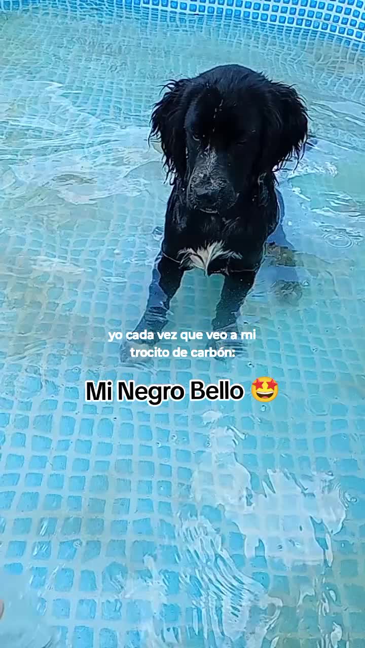 @𝓕𝓮𝓻𝓷𝓪𝓷𝓭𝓪 𝓡𝓲𝓿𝓮𝓻𝓸